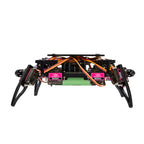 Acebott Remote Quadruped Bionic Spider