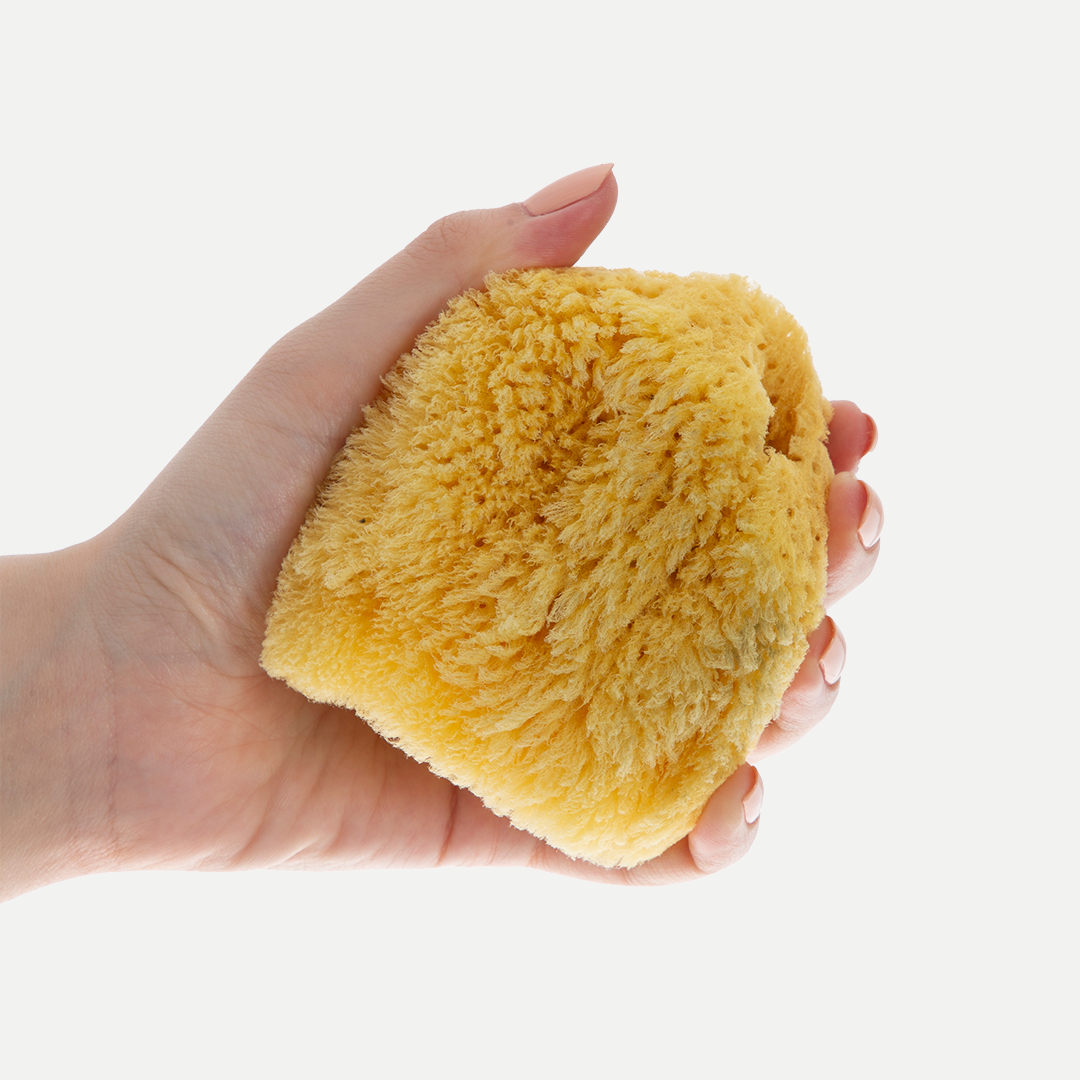 Babyjem sea sponge
