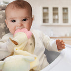 Babyjem teething toy