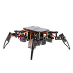Acebott Remote Quadruped Bionic Spider