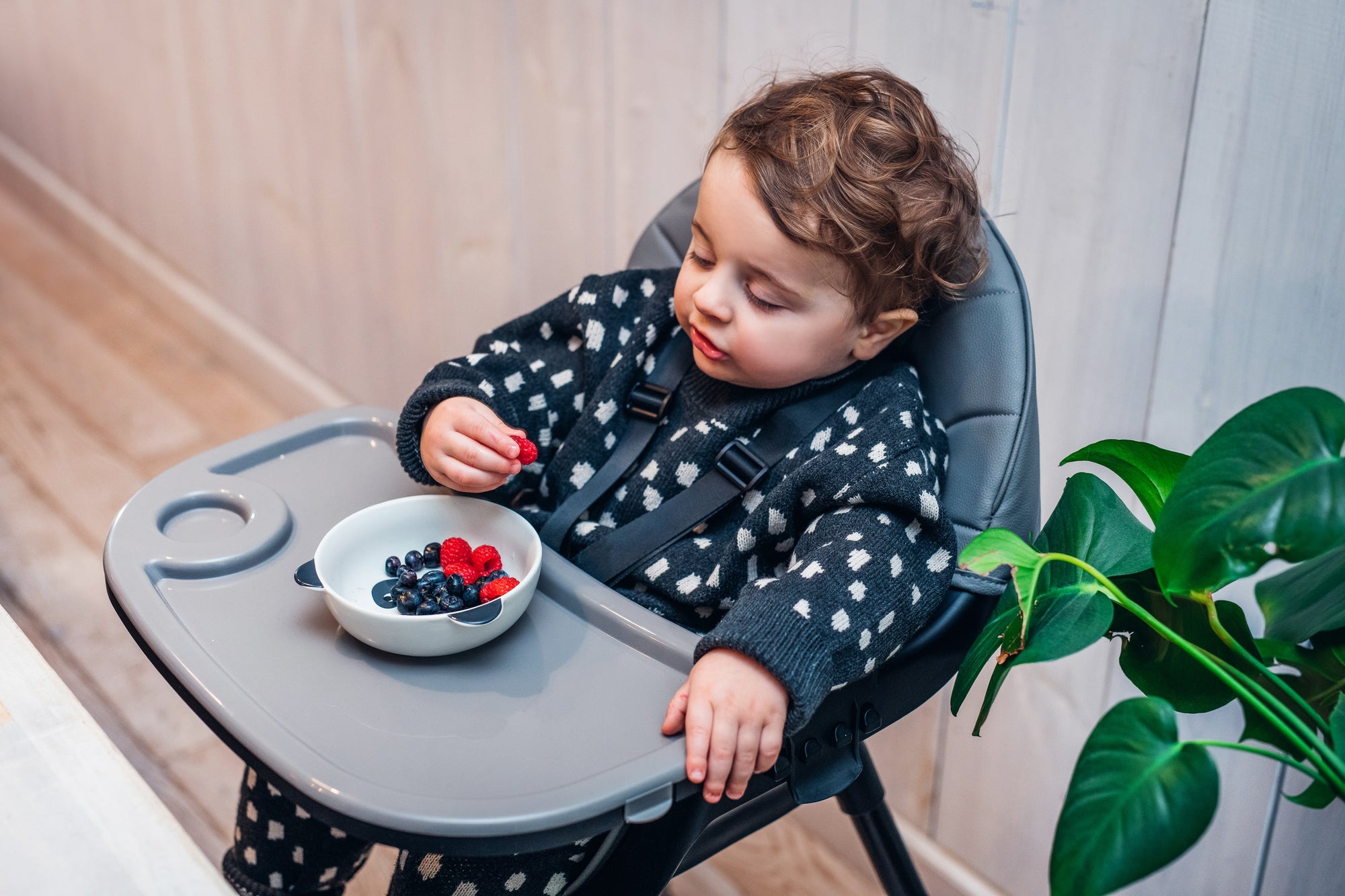 MoMi - Flovi High chair